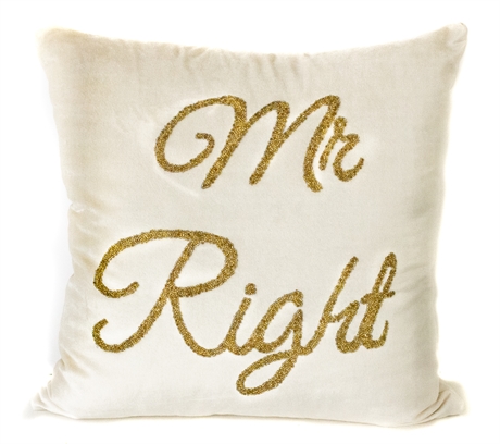 Mr Right Ivory Velvet Cushion 