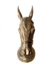 Equestrian Horse head alum raw oxy bronze