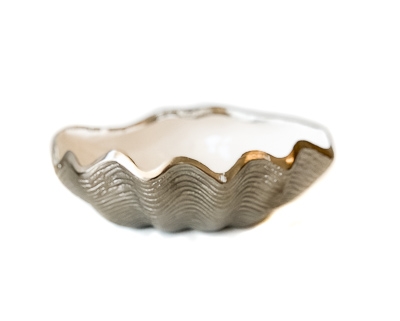 Silver Shell with White Enamel