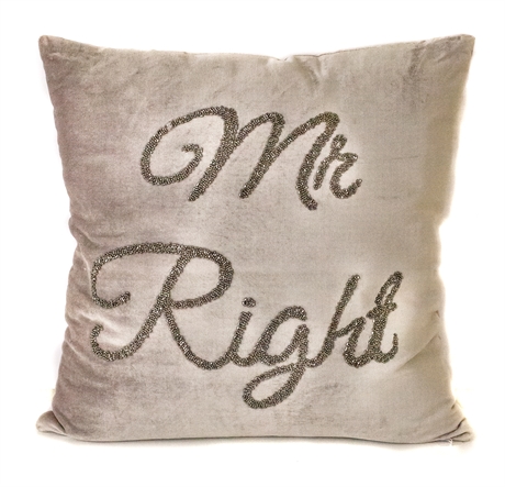 Mr Right Grey Velvet Cushion 