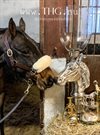 Equestrian Candle Holder Brass Old Finish 